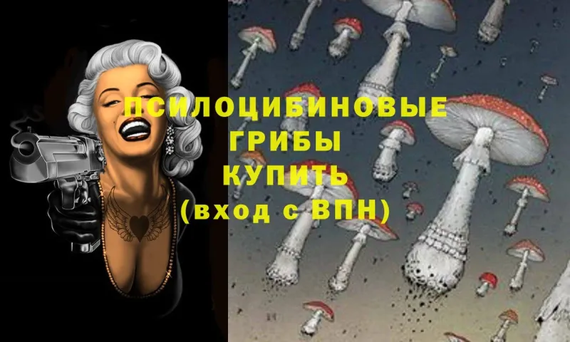 Галлюциногенные грибы Psilocybe  OMG ТОР  Салават 